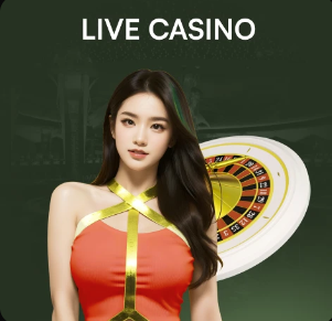 许尔策勒：德泽尔比对布莱顿产生巨大的影响，值得称赞